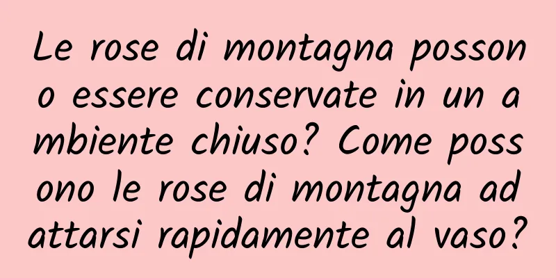 Le rose di montagna possono essere conservate in un ambiente chiuso? Come possono le rose di montagna adattarsi rapidamente al vaso?