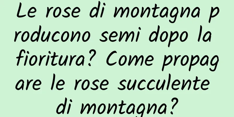 Le rose di montagna producono semi dopo la fioritura? Come propagare le rose succulente di montagna?