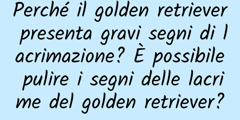 Perché il golden retriever presenta gravi segni di lacrimazione? È possibile pulire i segni delle lacrime del golden retriever?