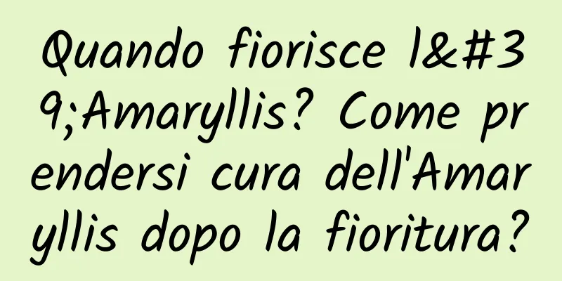 Quando fiorisce l'Amaryllis? Come prendersi cura dell'Amaryllis dopo la fioritura?