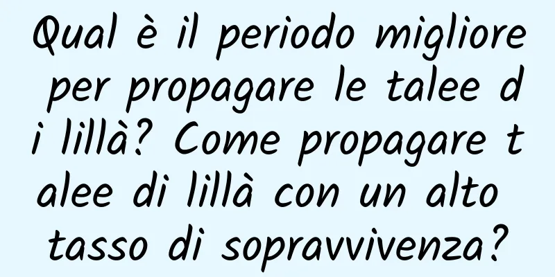 Qual è il periodo migliore per propagare le talee di lillà? Come propagare talee di lillà con un alto tasso di sopravvivenza?