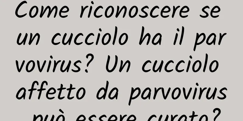 Come riconoscere se un cucciolo ha il parvovirus? Un cucciolo affetto da parvovirus può essere curato?