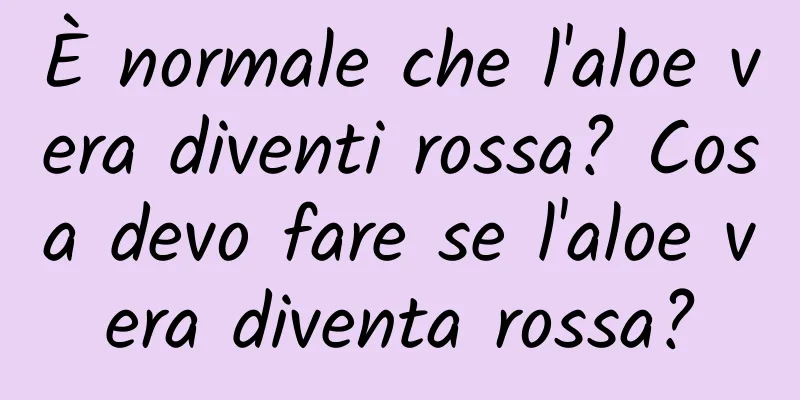 È normale che l'aloe vera diventi rossa? Cosa devo fare se l'aloe vera diventa rossa?