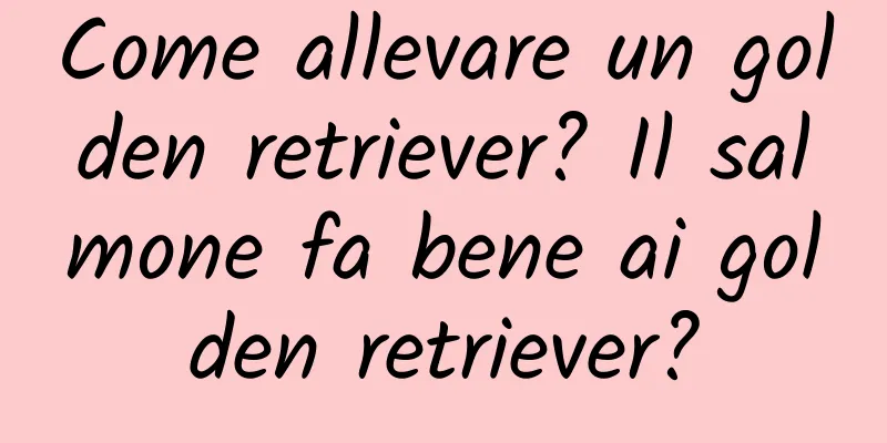 Come allevare un golden retriever? Il salmone fa bene ai golden retriever?