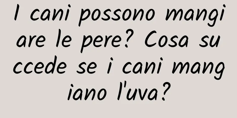 I cani possono mangiare le pere? Cosa succede se i cani mangiano l'uva?