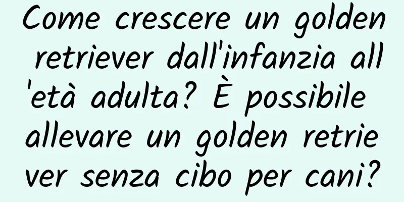 Come crescere un golden retriever dall'infanzia all'età adulta? È possibile allevare un golden retriever senza cibo per cani?