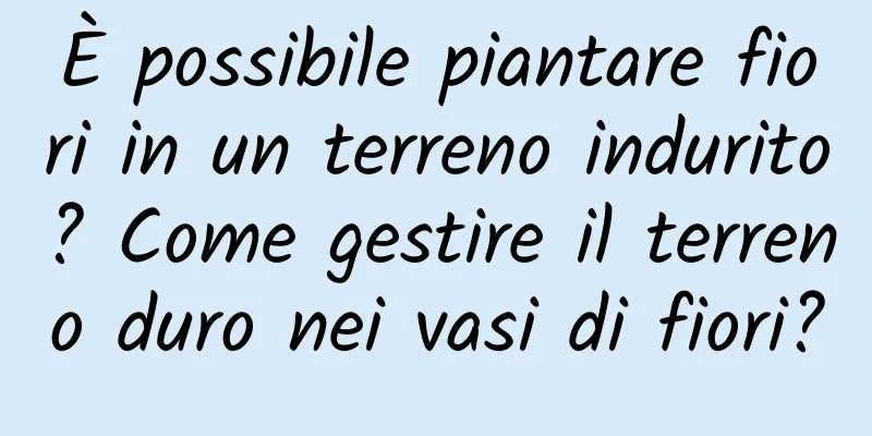 È possibile piantare fiori in un terreno indurito? Come gestire il terreno duro nei vasi di fiori?