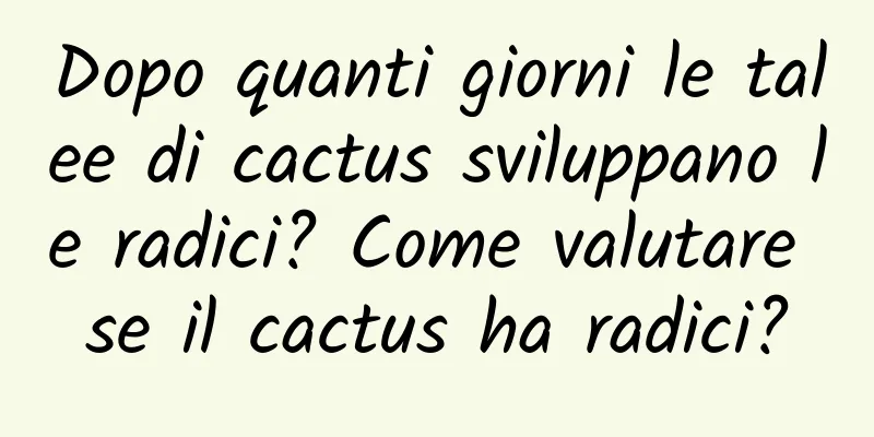 Dopo quanti giorni le talee di cactus sviluppano le radici? Come valutare se il cactus ha radici?