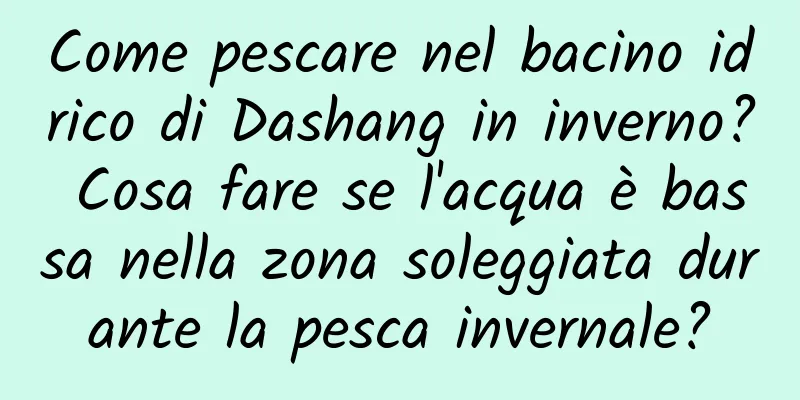 Come pescare nel bacino idrico di Dashang in inverno? Cosa fare se l'acqua è bassa nella zona soleggiata durante la pesca invernale?