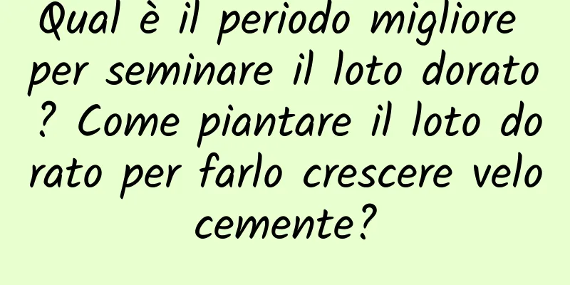 Qual è il periodo migliore per seminare il loto dorato? Come piantare il loto dorato per farlo crescere velocemente?