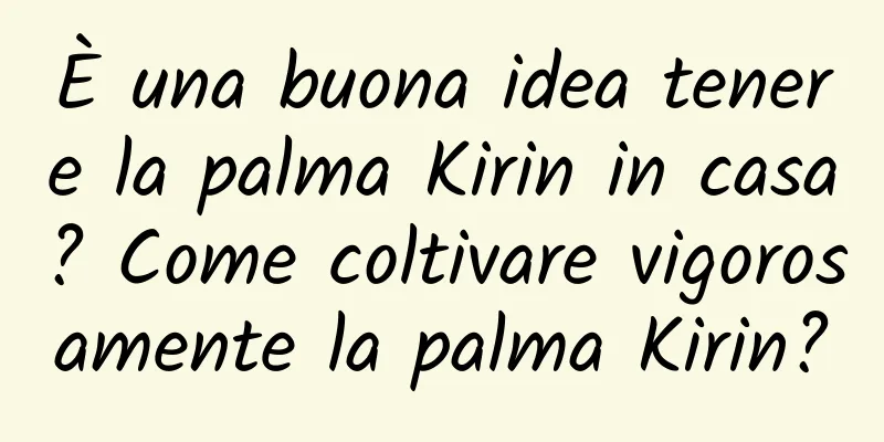 È una buona idea tenere la palma Kirin in casa? Come coltivare vigorosamente la palma Kirin?