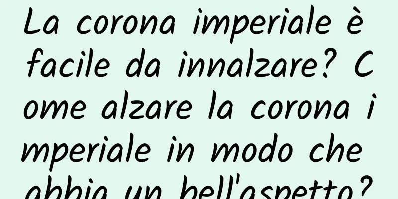 La corona imperiale è facile da innalzare? Come alzare la corona imperiale in modo che abbia un bell'aspetto?
