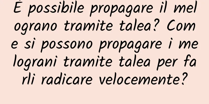 È possibile propagare il melograno tramite talea? Come si possono propagare i melograni tramite talea per farli radicare velocemente?