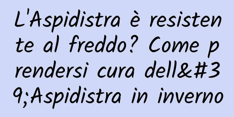 L'Aspidistra è resistente al freddo? Come prendersi cura dell'Aspidistra in inverno
