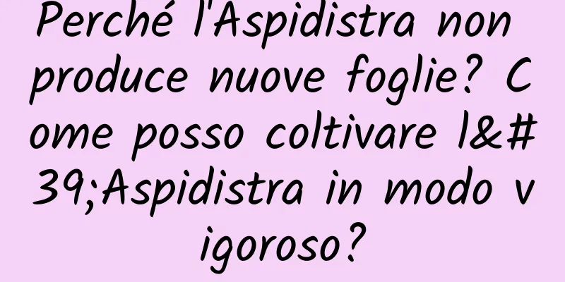 Perché l'Aspidistra non produce nuove foglie? Come posso coltivare l'Aspidistra in modo vigoroso?