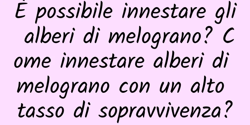 È possibile innestare gli alberi di melograno? Come innestare alberi di melograno con un alto tasso di sopravvivenza?