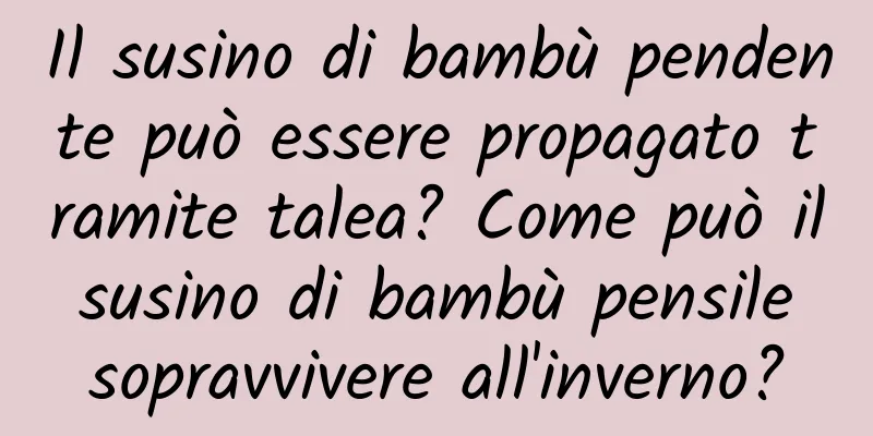 Il susino di bambù pendente può essere propagato tramite talea? Come può il susino di bambù pensile sopravvivere all'inverno?