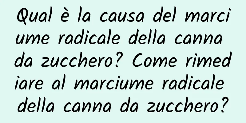 Qual è la causa del marciume radicale della canna da zucchero? Come rimediare al marciume radicale della canna da zucchero?