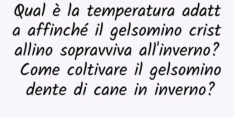 Qual è la temperatura adatta affinché il gelsomino cristallino sopravviva all'inverno? Come coltivare il gelsomino dente di cane in inverno?