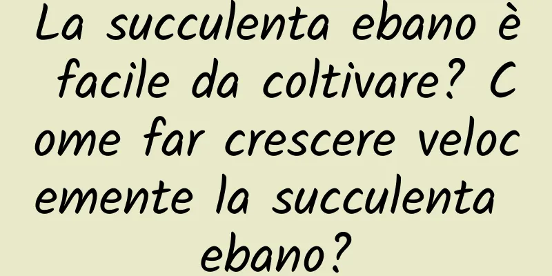 La succulenta ebano è facile da coltivare? Come far crescere velocemente la succulenta ebano?