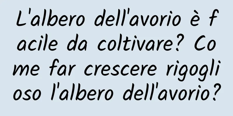 L'albero dell'avorio è facile da coltivare? Come far crescere rigoglioso l'albero dell'avorio?