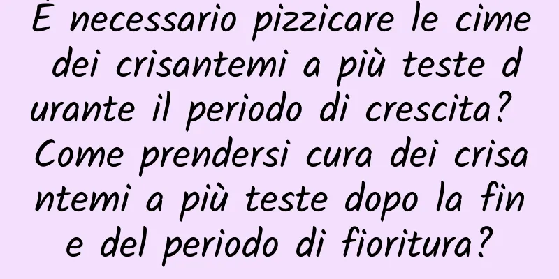 È necessario pizzicare le cime dei crisantemi a più teste durante il periodo di crescita? Come prendersi cura dei crisantemi a più teste dopo la fine del periodo di fioritura?
