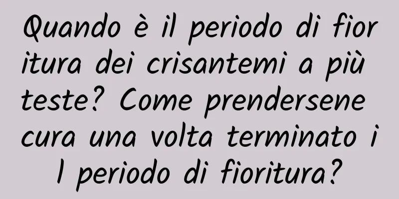 Quando è il periodo di fioritura dei crisantemi a più teste? Come prendersene cura una volta terminato il periodo di fioritura?
