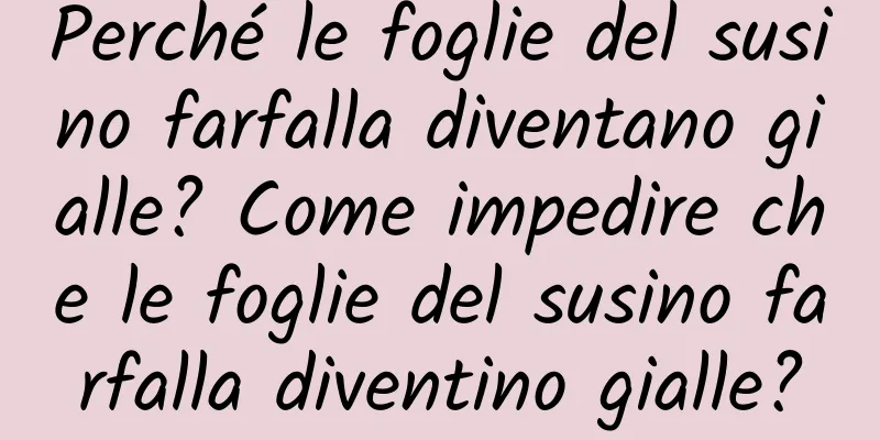 Perché le foglie del susino farfalla diventano gialle? Come impedire che le foglie del susino farfalla diventino gialle?