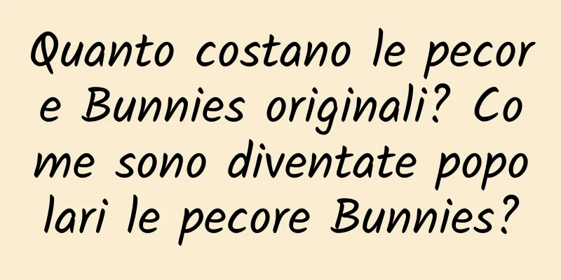 Quanto costano le pecore Bunnies originali? Come sono diventate popolari le pecore Bunnies?