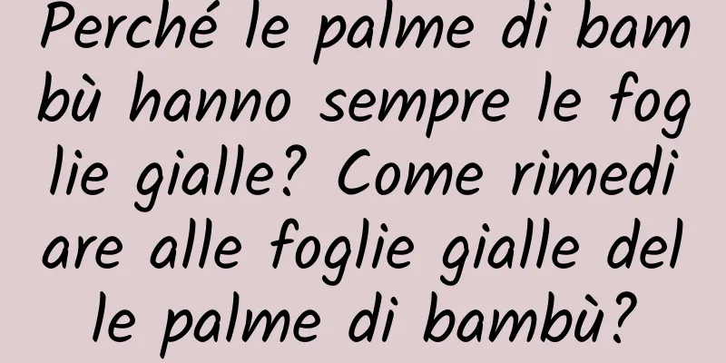 Perché le palme di bambù hanno sempre le foglie gialle? Come rimediare alle foglie gialle delle palme di bambù?