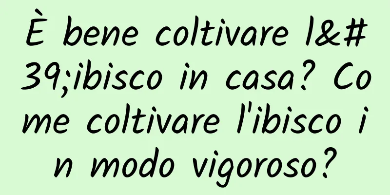 È bene coltivare l'ibisco in casa? Come coltivare l'ibisco in modo vigoroso?