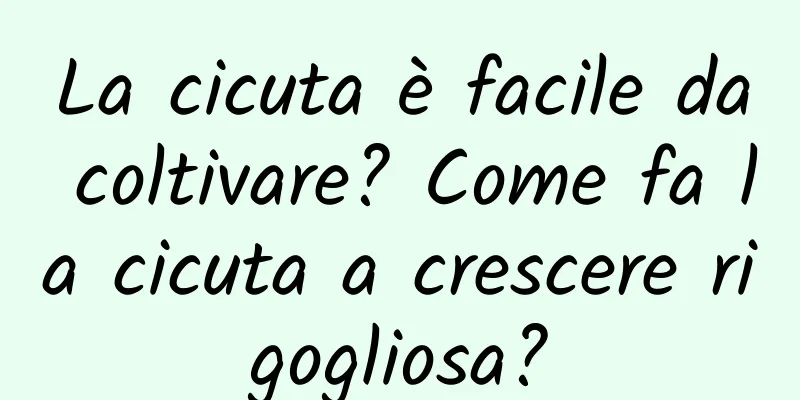 La cicuta è facile da coltivare? Come fa la cicuta a crescere rigogliosa?