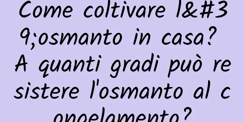 Come coltivare l'osmanto in casa? A quanti gradi può resistere l'osmanto al congelamento?