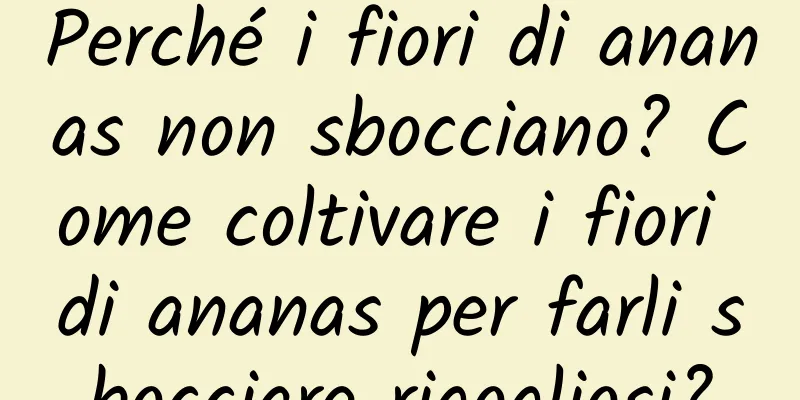 Perché i fiori di ananas non sbocciano? Come coltivare i fiori di ananas per farli sbocciare rigogliosi?