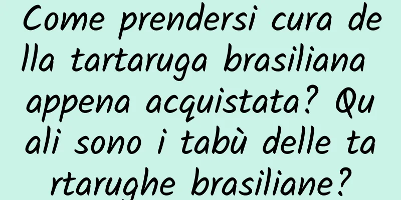 Come prendersi cura della tartaruga brasiliana appena acquistata? Quali sono i tabù delle tartarughe brasiliane?