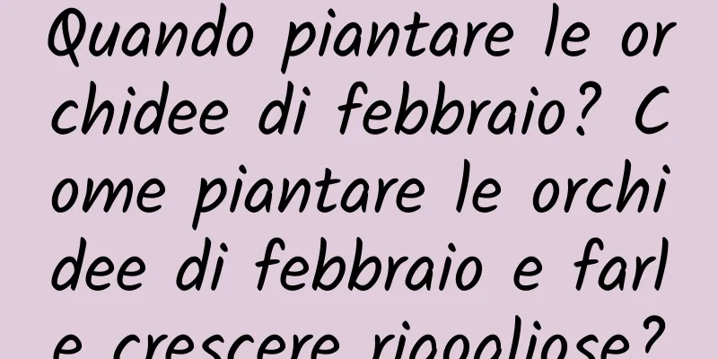 Quando piantare le orchidee di febbraio? Come piantare le orchidee di febbraio e farle crescere rigogliose?