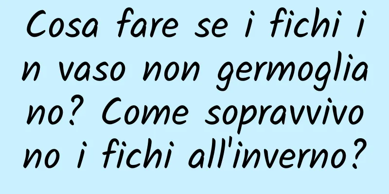 Cosa fare se i fichi in vaso non germogliano? Come sopravvivono i fichi all'inverno?