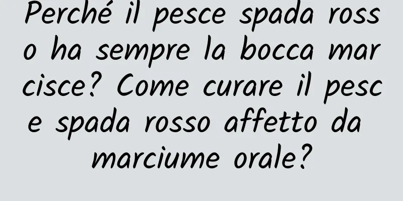 Perché il pesce spada rosso ha sempre la bocca marcisce? Come curare il pesce spada rosso affetto da marciume orale?