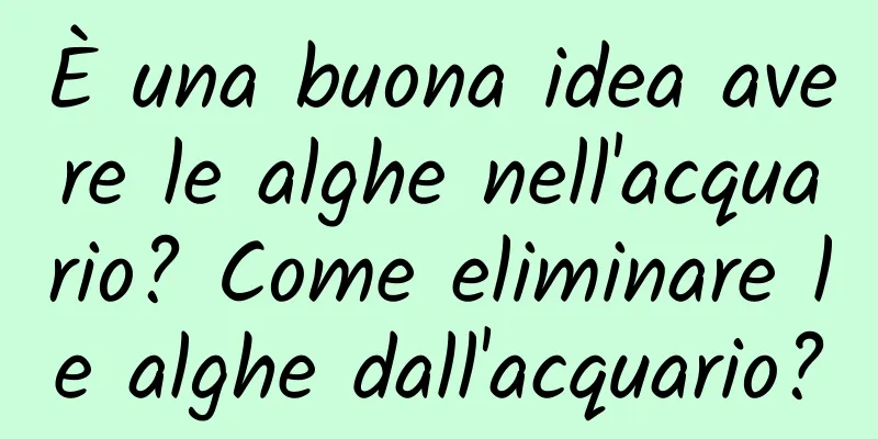 È una buona idea avere le alghe nell'acquario? Come eliminare le alghe dall'acquario?