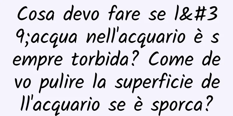 Cosa devo fare se l'acqua nell'acquario è sempre torbida? Come devo pulire la superficie dell'acquario se è sporca?