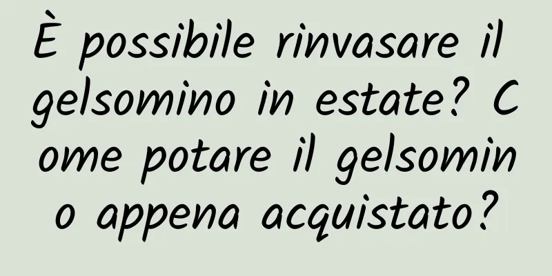 È possibile rinvasare il gelsomino in estate? Come potare il gelsomino appena acquistato?