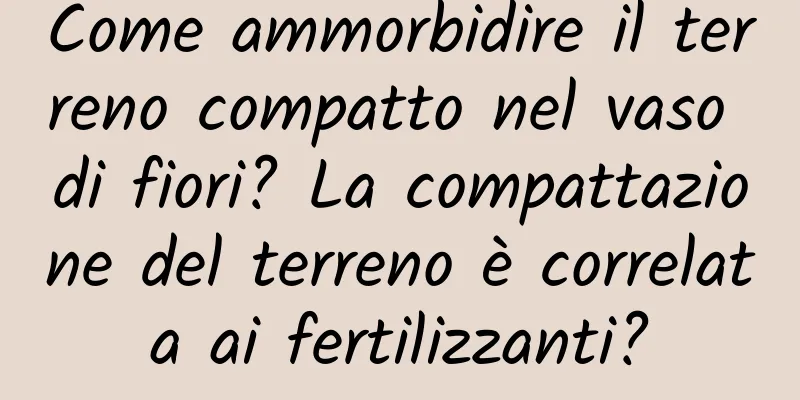 Come ammorbidire il terreno compatto nel vaso di fiori? La compattazione del terreno è correlata ai fertilizzanti?