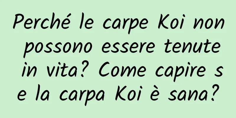 Perché le carpe Koi non possono essere tenute in vita? Come capire se la carpa Koi è sana?