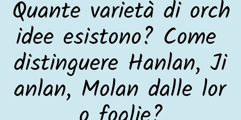 Quante varietà di orchidee esistono? Come distinguere Hanlan, Jianlan, Molan dalle loro foglie?