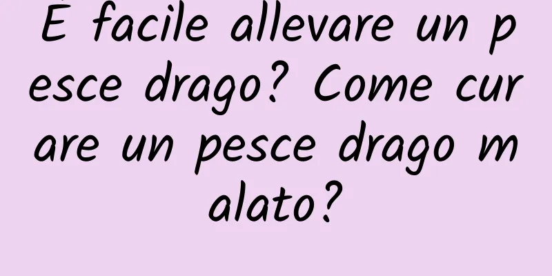 È facile allevare un pesce drago? Come curare un pesce drago malato?