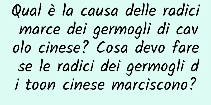 Qual è la causa delle radici marce dei germogli di cavolo cinese? Cosa devo fare se le radici dei germogli di toon cinese marciscono?