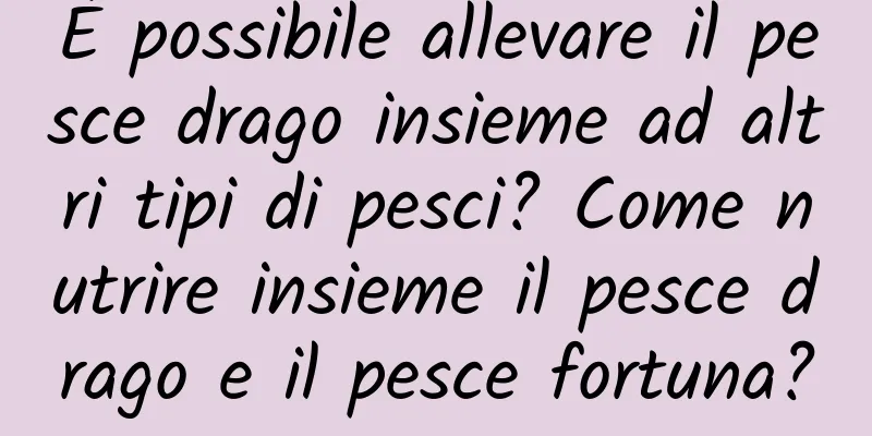 È possibile allevare il pesce drago insieme ad altri tipi di pesci? Come nutrire insieme il pesce drago e il pesce fortuna?