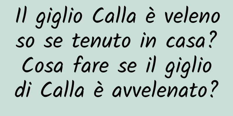 Il giglio Calla è velenoso se tenuto in casa? Cosa fare se il giglio di Calla è avvelenato?