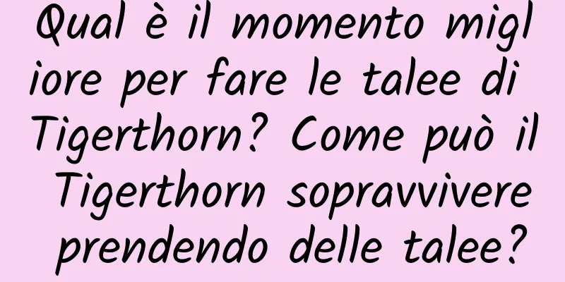 Qual è il momento migliore per fare le talee di Tigerthorn? Come può il Tigerthorn sopravvivere prendendo delle talee?