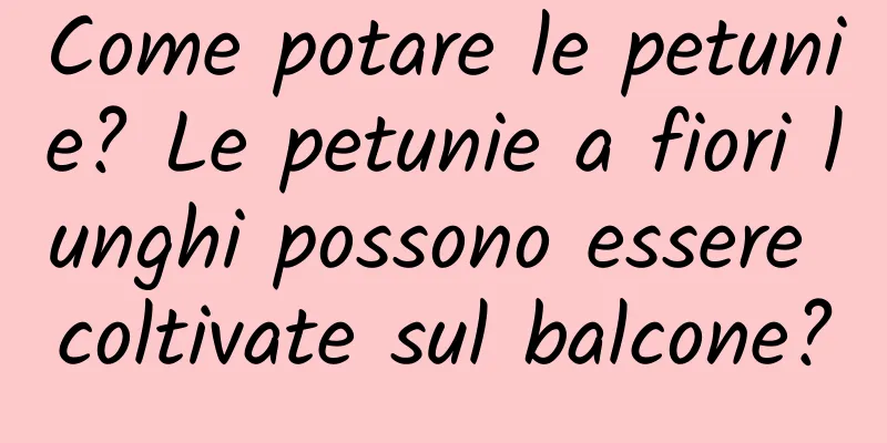 Come potare le petunie? Le petunie a fiori lunghi possono essere coltivate sul balcone?